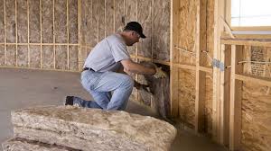 Best Commercial Insulation Services  in Tolleson, AZ